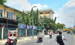 40m2 Bà Hom Quận 6 chỉ 2 tỷ 900 chỉ bán trong tuần.-anh-7