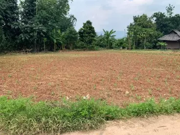 Cần bán Mảnh đất 9200m2 tại mường sang Mộc Châu sơn la-anh-1