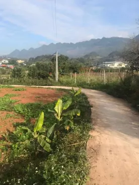 Cần bán Mảnh đất 9200m2 tại mường sang Mộc Châu sơn la-anh-2