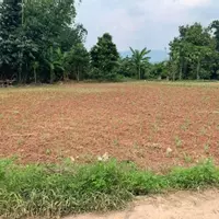 Cần bán Mảnh đất 9200m2 tại mường sang Mộc Châu sơn la-anh-4