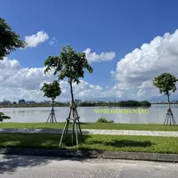 ???????????? SIÊU PHẨM ĐẦU TƯ CÓ 1.0.2 - BIỆT THỰ 3 TẦNG – DT ĐẤT: 308M2 – CHỈ ĐÚNG 8 TỶ.-anh-8