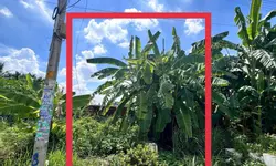 SIÊU PHẨM LÊ HỒNG PHONG QUẬN 10-XE HƠI ĐỖ CỬA-10M RA MẶT TIỀN- NHÀ MỚI ĐẸP Ở NGAY- 4 TẦNG - TẶNG-anh-18