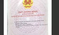 SIÊU PHẨM LÊ HỒNG PHONG QUẬN 10-XE HƠI ĐỖ CỬA-10M RA MẶT TIỀN- NHÀ MỚI ĐẸP Ở NGAY- 4 TẦNG - TẶNG-anh-19