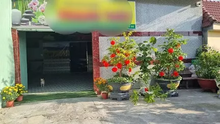 ► SIÊU PHẨM MẶT TIỀN QUỐC LỘ 63 – VỪA CÓ ĐẤT, VỪA CÓ DÒNG TIỀN KHỦNG-anh-5