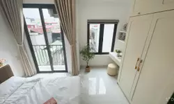 Hoa Hậu phân Lô, Quận Thanh Xuân, Oto chánh, lô góc. 68m x4 tầng MT5m-anh-6