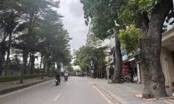 SIÊU PHẨM - TRUNG TÂM ĐỐNG ĐA - 6 TẦNG THANG MÁY MỚI TINH - HAI THOÁNG - GẦN Ô TÔ VÀI BƯỚC CHÂN RA-anh-11