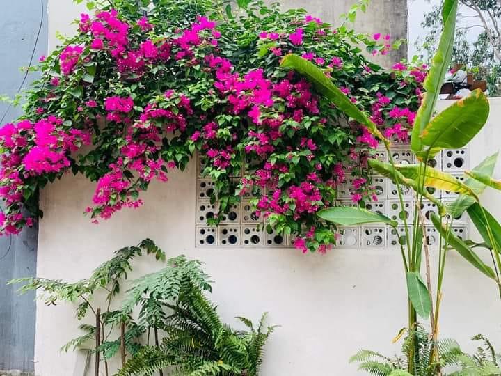 SỤP HẦM, BÁN ĐẤT DIỆN LỚN 263M XÂY KHÁCH SẠN GIÁ CHỈ 22 TỶ ĐƯỜNG TÔ HIẾN THÀNH ĐÀ NẴNG.-anh-4