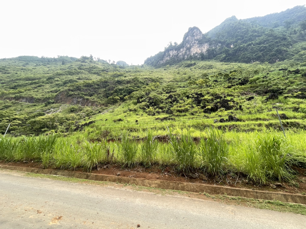 Thanh khoản nhanh lô đất khoảng 850m2 gần trung tâm Hà Giang-anh-1