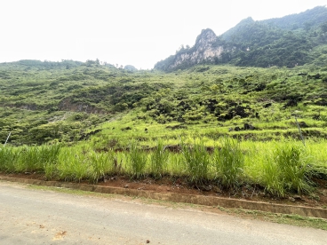 Thanh khoản nhanh lô đất khoảng 850m2 gần trung tâm Hà Giang-anh-2