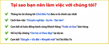 Căn hộ De La Sol không gian sống đẳng cấp giá gốc CĐT chỉ từ 5.4 tỷ-anh-9