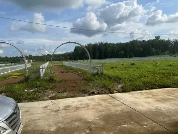 bán mảnh đất thổ cư gần chợ, gần trường học-anh-3