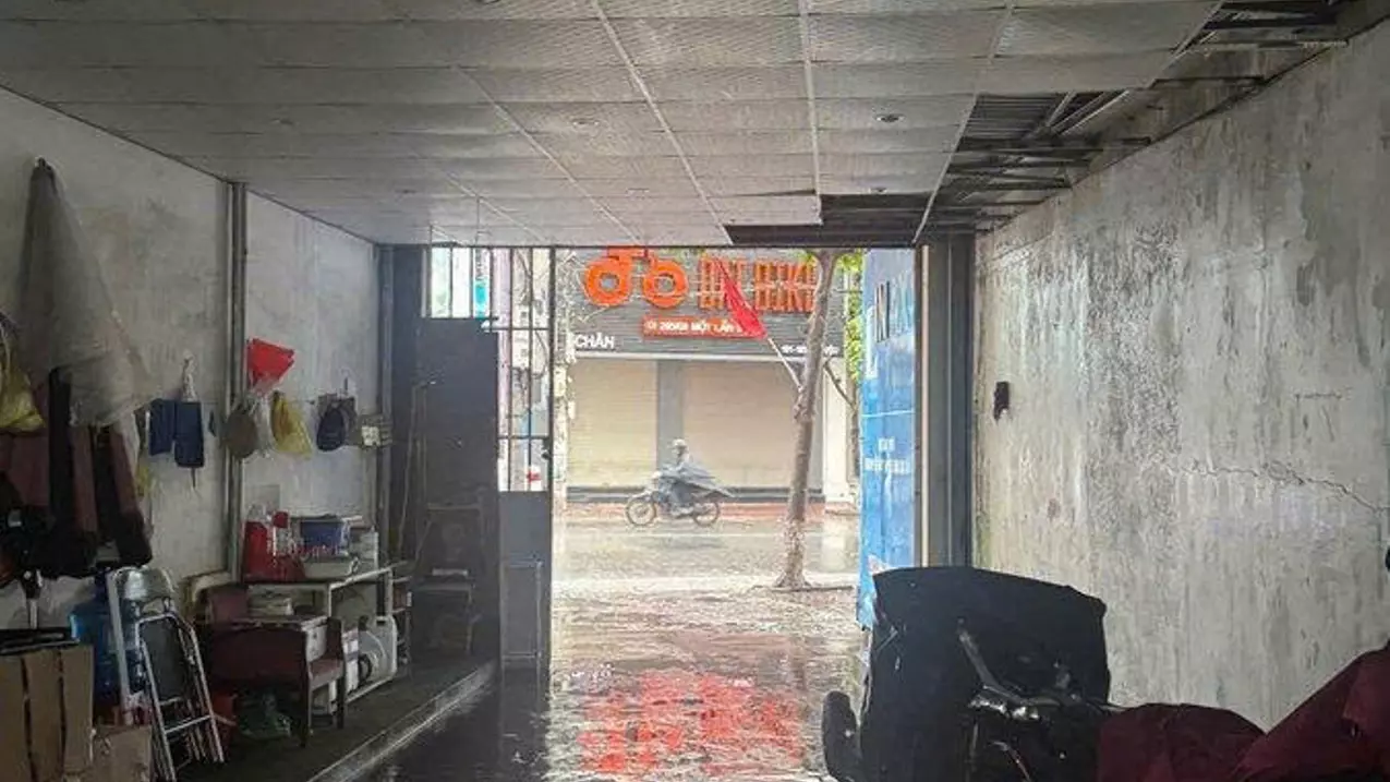 TÔ HIỆU – LÊ CHÂN  BIỆT THỰ HIẾM 770m² GIỮA TRUNG TÂM-anh-2