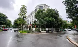 Tôi cho thuê nhà, 133m2- 7T, Linh Lang, Đào Tấn, Phan Kế Bính -75 tr-anh-10