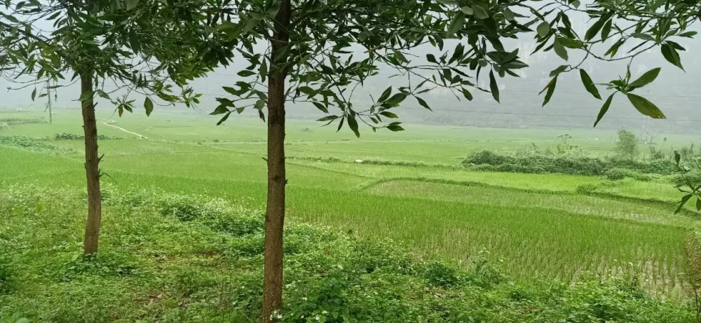 Bán đất nhà vườn nghỉ dưỡng Lương Sơn Hoà Bình 1800m2 VIEW SIÊU ĐẸP-vành đai 5 HCM giá rẻ-anh-1