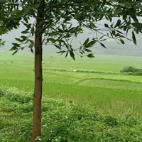 Bán đất nhà vườn nghỉ dưỡng Lương Sơn Hoà Bình 1800m2 VIEW SIÊU ĐẸP-vành đai 5 HCM giá rẻ-anh-2