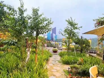 Đất view đẹp Hoàng Hoa Thám - Phường 10 - Đà Lạt-anh-10