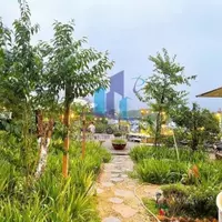 Đất view đẹp Hoàng Hoa Thám - Phường 10 - Đà Lạt-anh-12