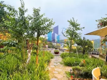 Đất view đẹp Hoàng Hoa Thám - Phường 10 - Đà Lạt-anh-2