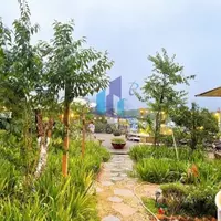 Đất view đẹp Hoàng Hoa Thám - Phường 10 - Đà Lạt-anh-20