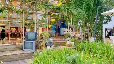 Đất view đẹp Hoàng Hoa Thám - Phường 10 - Đà Lạt-anh-7