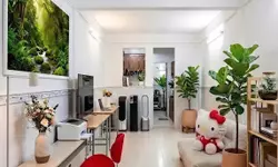 CỦ CHI, BÁN LÔ ĐẤT GÓC 2 MẶT TIỀN ĐƯỜNG SUỐI LỘI, DT 1674m2, CHỈ 13 TỶ-anh-5