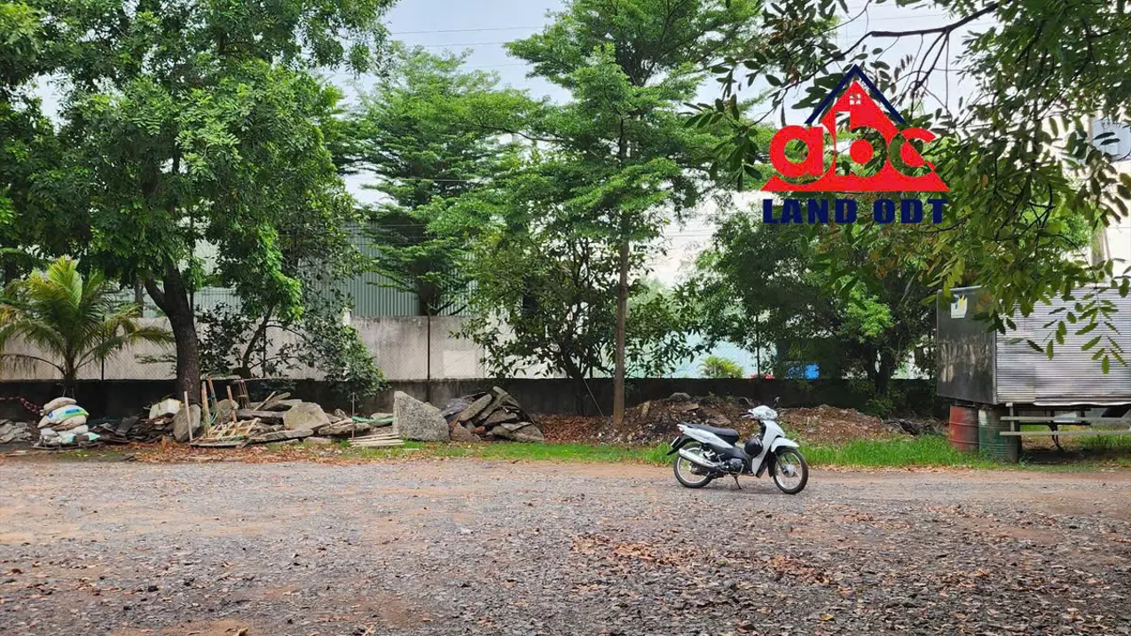XN280 cho thuê nhà xưởng kiên cố , phục vụ sản xuất ngày đêm, xa dân cư sẵn xưởng-anh-2