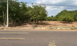 XT113 cho thuê nhà xưởng sản xuất thu hút nhiều ngành nghề, khuôn viên sân bãi rộng-anh-17