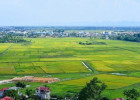ky-hieu-cac-loai-dat-tren-ban-do-dia-chinh