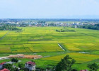 ky-hieu-cac-loai-dat-tren-ban-do-dia-chinh
