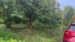 dat-phu-quoc-2-mat-tien-duong-8m-gan-200m2-hon-50tho-cu
