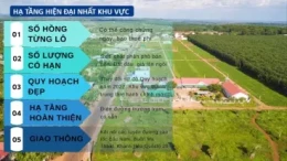 nha-o-to-do-cua-4-tang-canh-nha-thieu-nhi-quan-tan-binh-55-ty