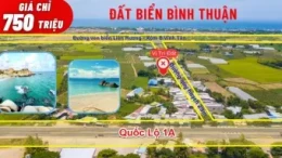 thanh-toan-35-ty-so-huu-ngay-hotel-mat-bien-bao-ninh