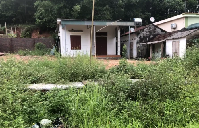 ban-manh-dat-350m2-xa-dai-xuyen-van-don-quang-ninh-co-so-hong