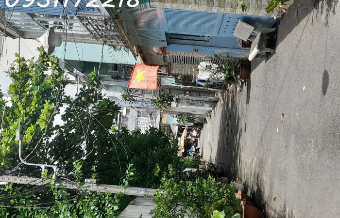 mat-tien-hem-hoang-minh-dao-4x17-chi-8-ty-2
